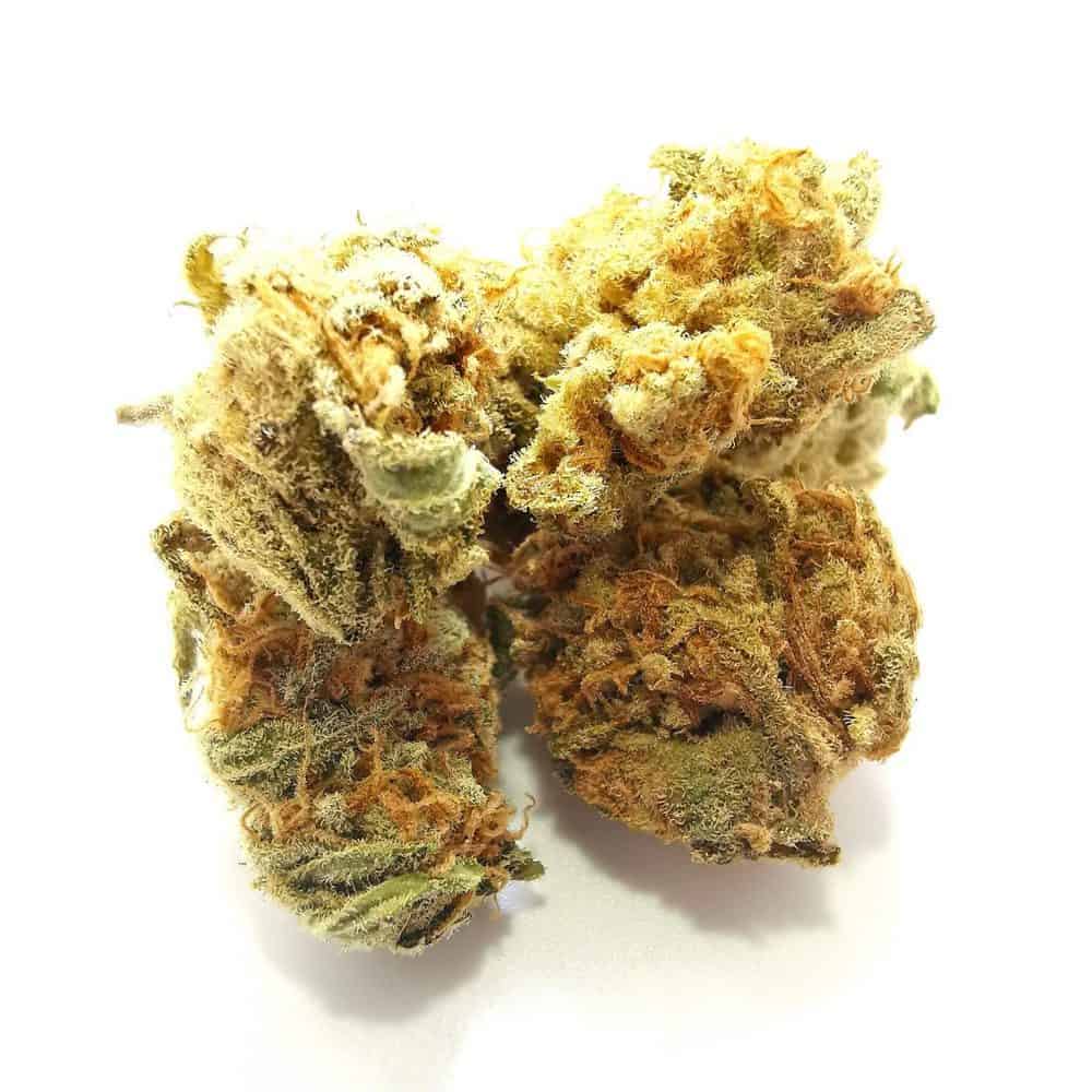 Wappa by Namaste (picture of cannabis)
