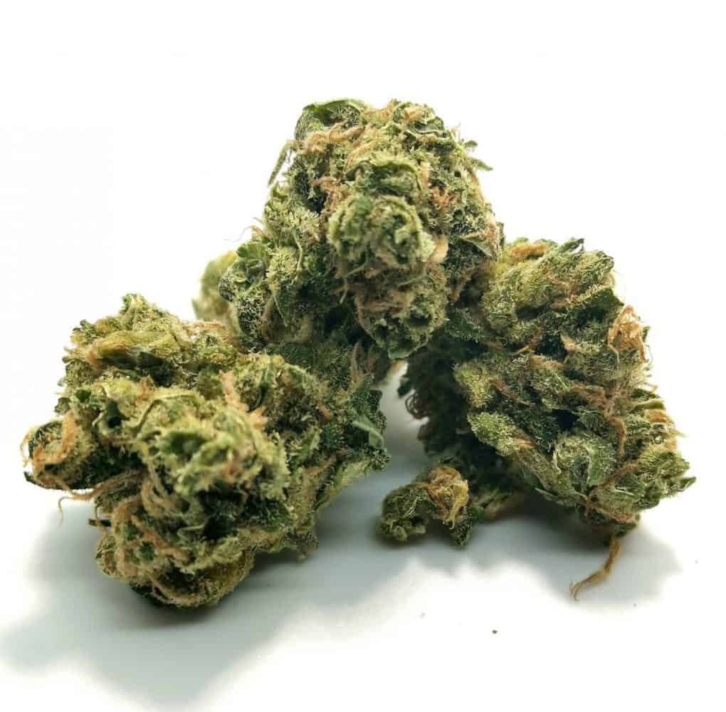 Ultra Sour strain review (cannabis picture)