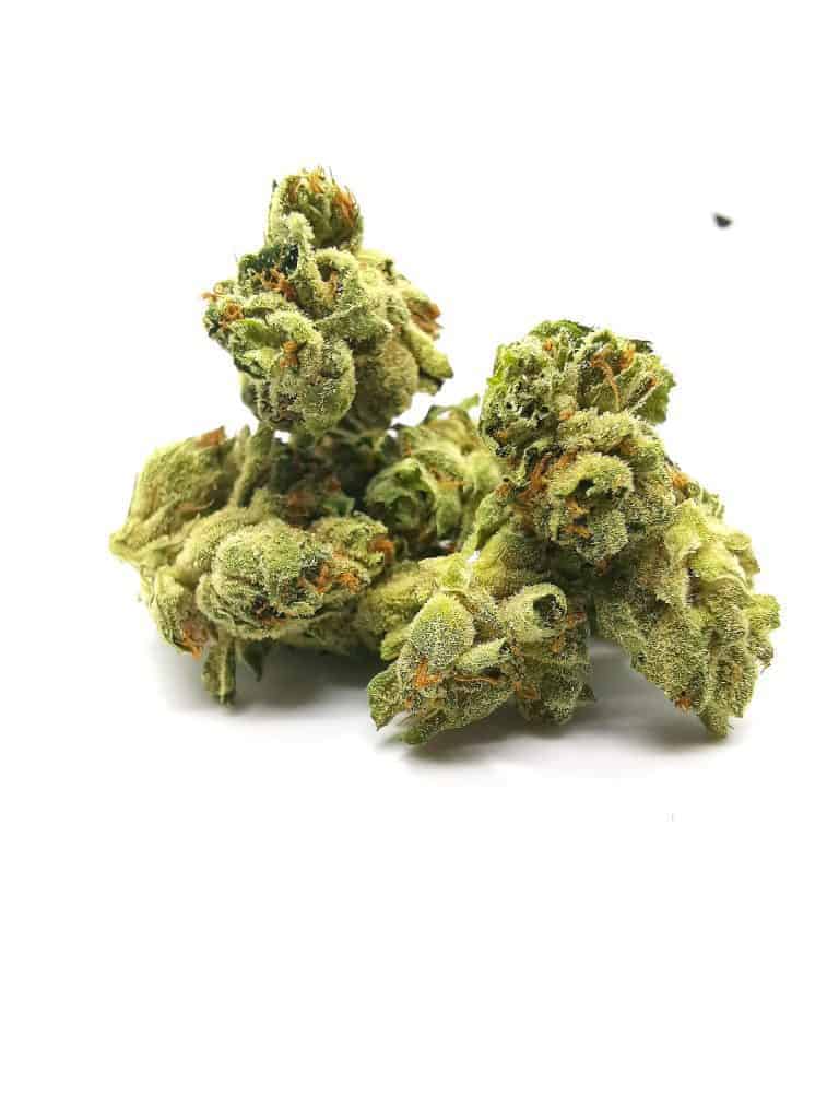 Alien Dawg Strain review (pictures of cannabis)