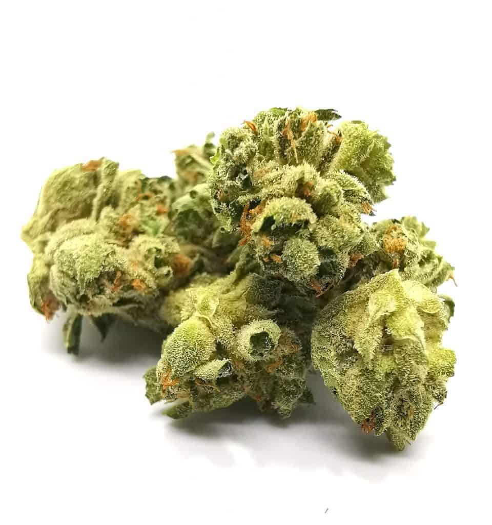 Alien Dawg Strain review (pictures of cannabis)