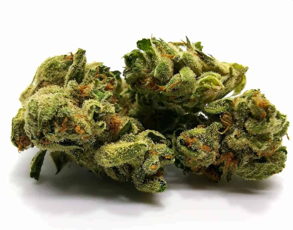 Alien Dawg Strain review (pictures of cannabis)