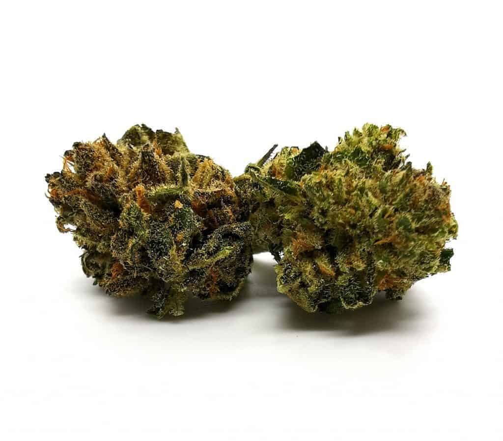 Temple by aurora strain review (cannabis picture)