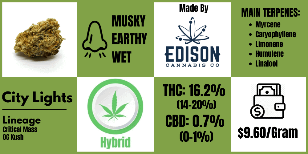 City Lights strain review info block