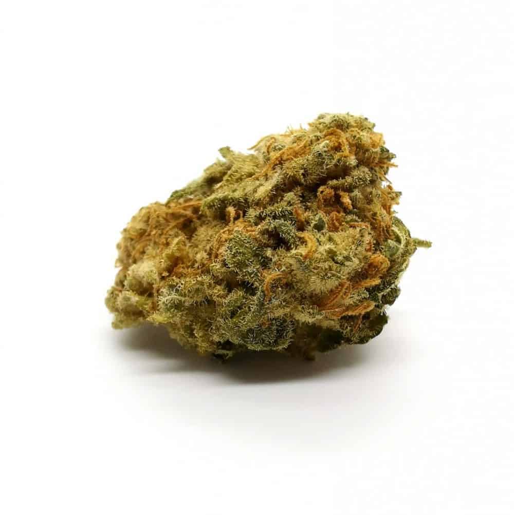 City lights strain review, picture of cannabis. Owned by Cannabis Sensei.