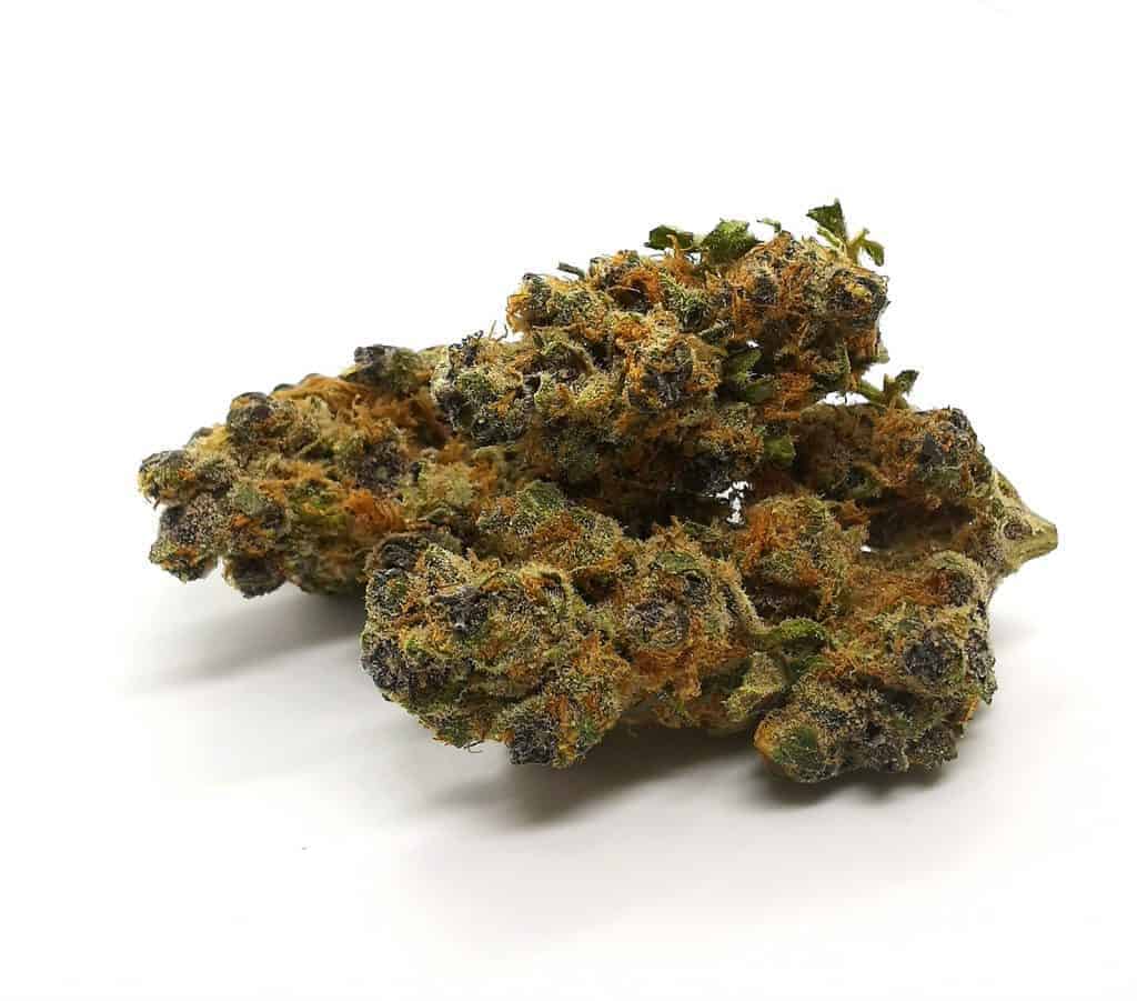 Tangerine Dream by San Rafael '71 (picture of cannabis)
