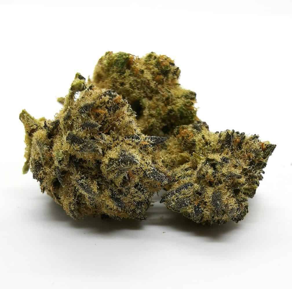 Dancehall strain review, picture of dancehall strain made by Spinach.
