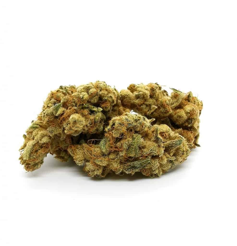 Galiano strain review, picture of cannabis.