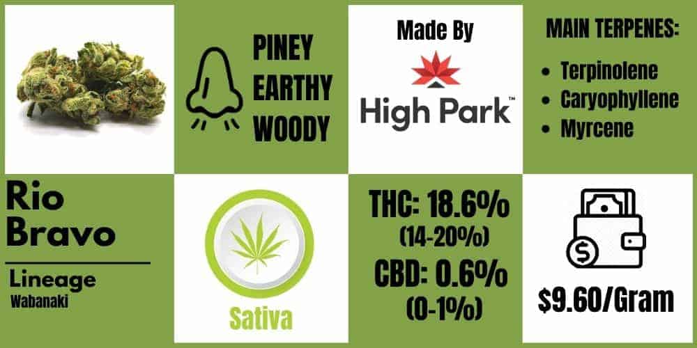 Rio Bravo Strain Review by Cannabis Sensei, Info block