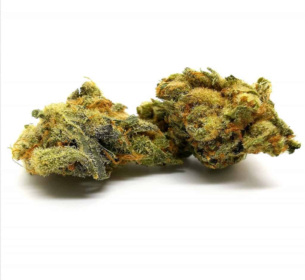 Durga Mata 2 strain review, picture of cannabis