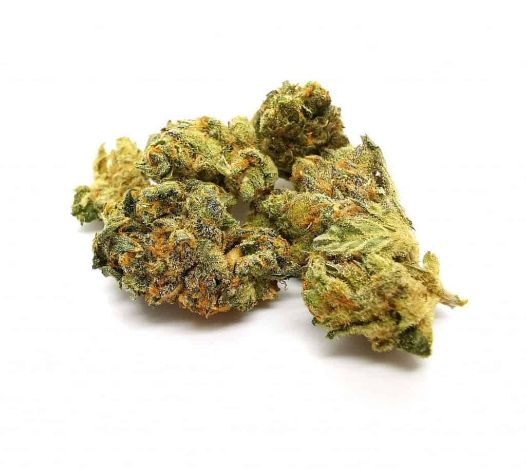 Durga Mata 2 strain review, picture of cannabis