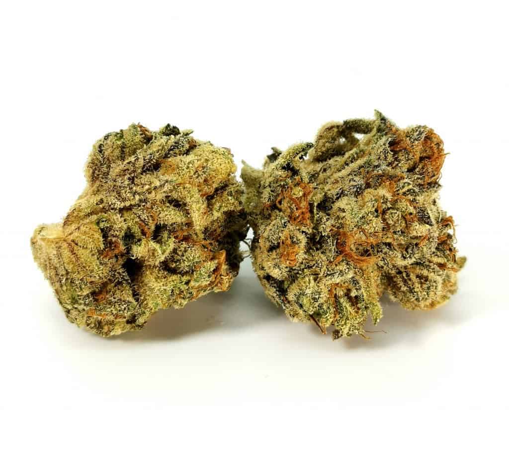 featured pic of quadra strain review