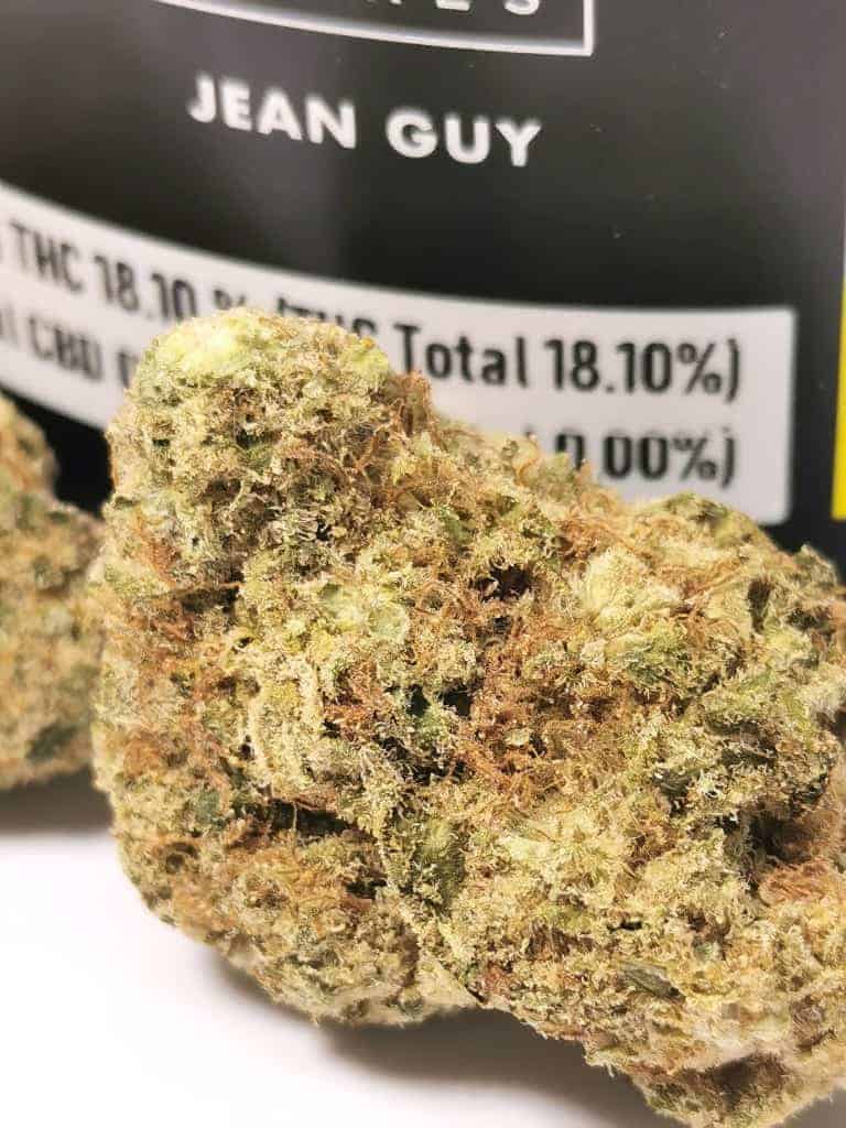 Close up on Jean-guy cannabis