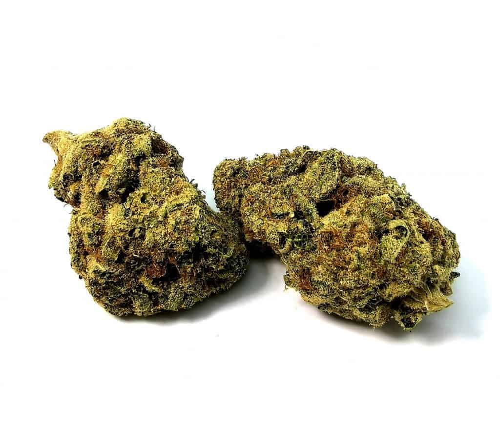 Jean-guy strain review, picture of cannabis
