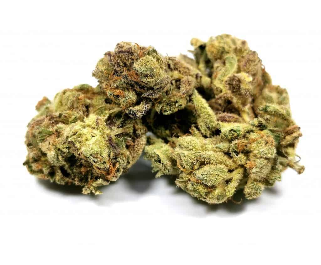 houseplant indica strain review