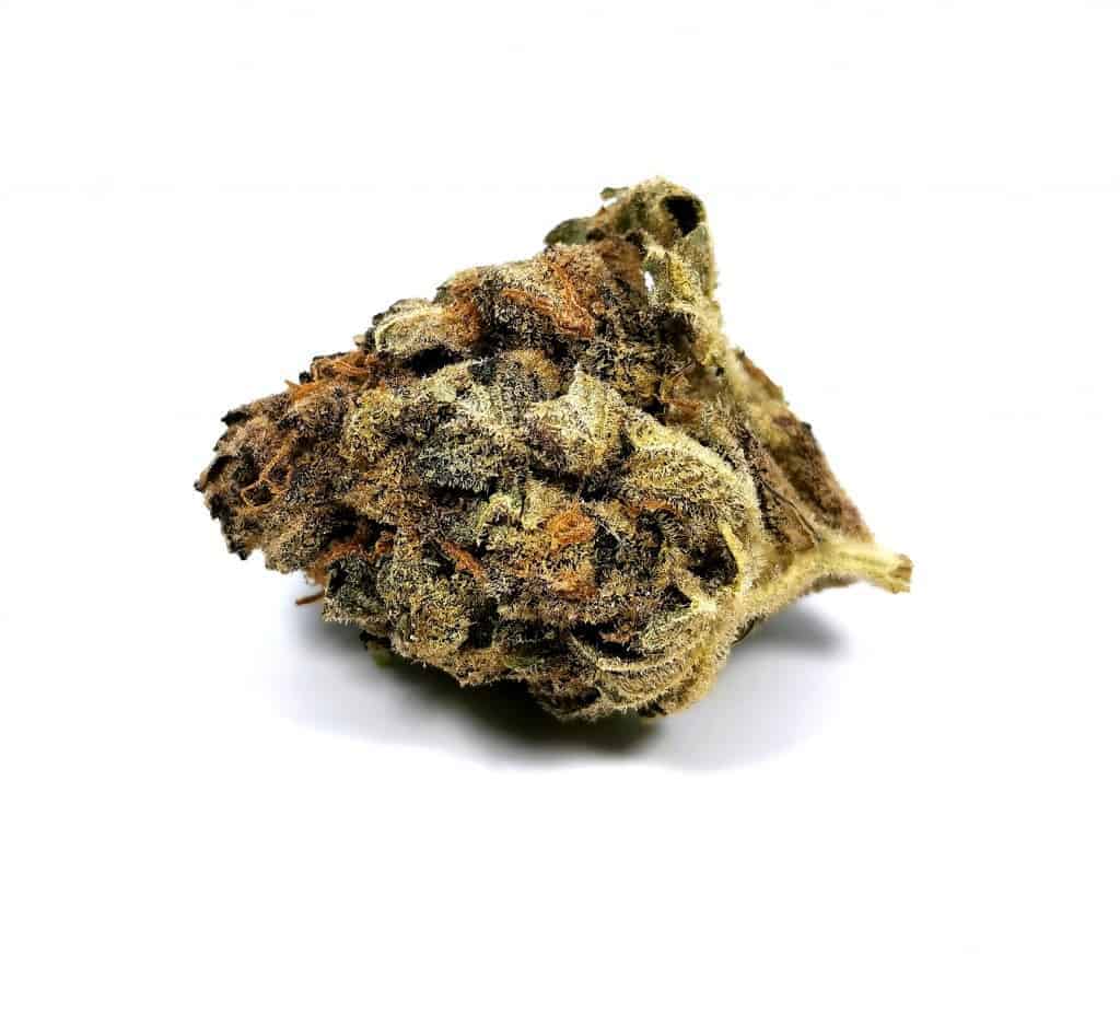 houseplant indica strain review