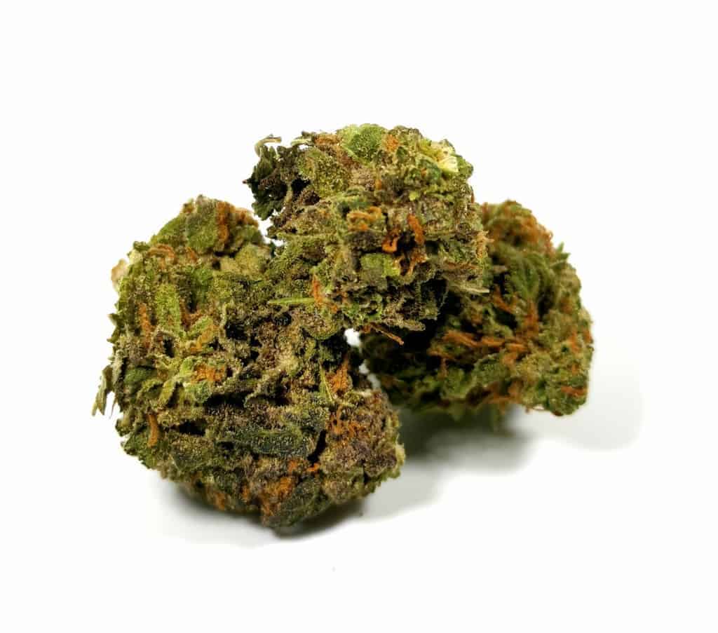 subway scientist strain review pic of cannabis