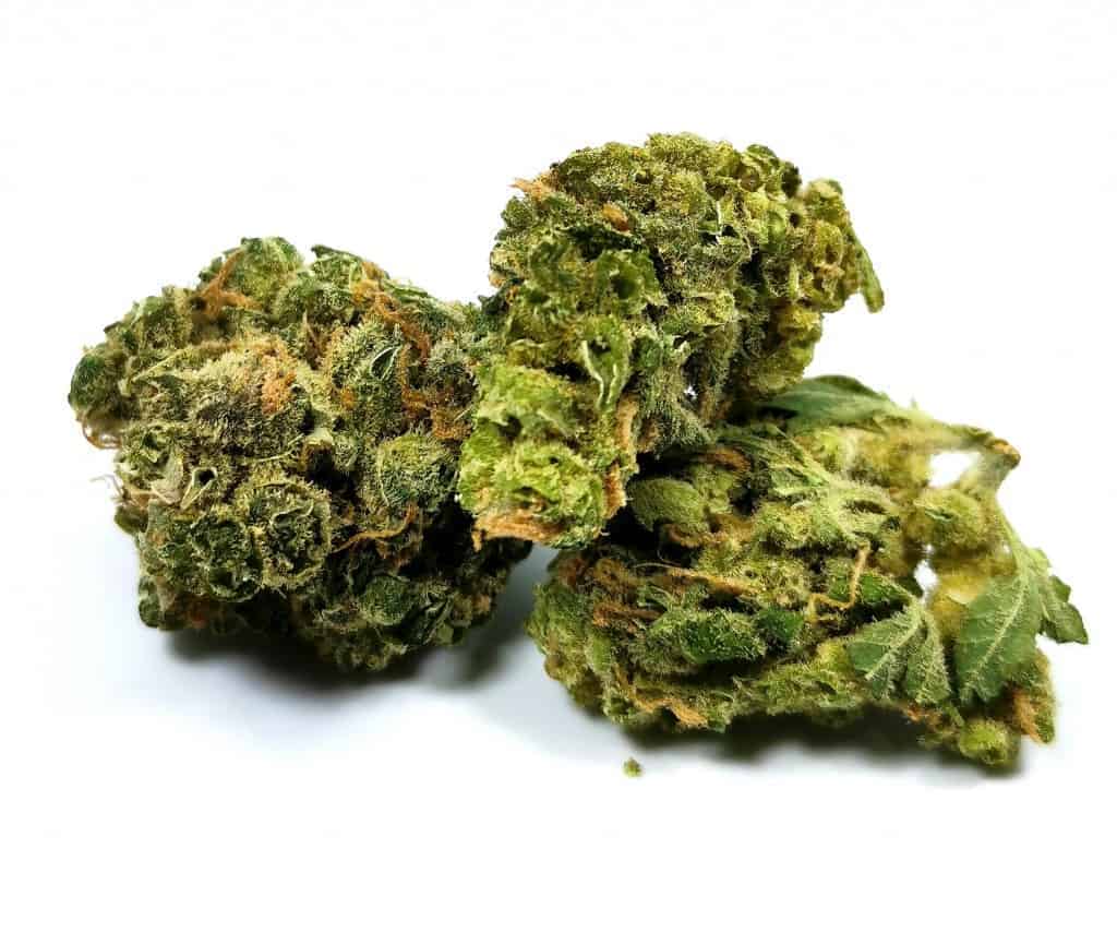 limelight strain review picture of cannabis flower by cannabis sensei