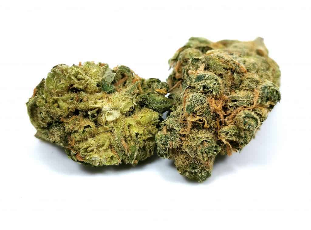 limelight strain review picture of cannabis flower by cannabis sensei