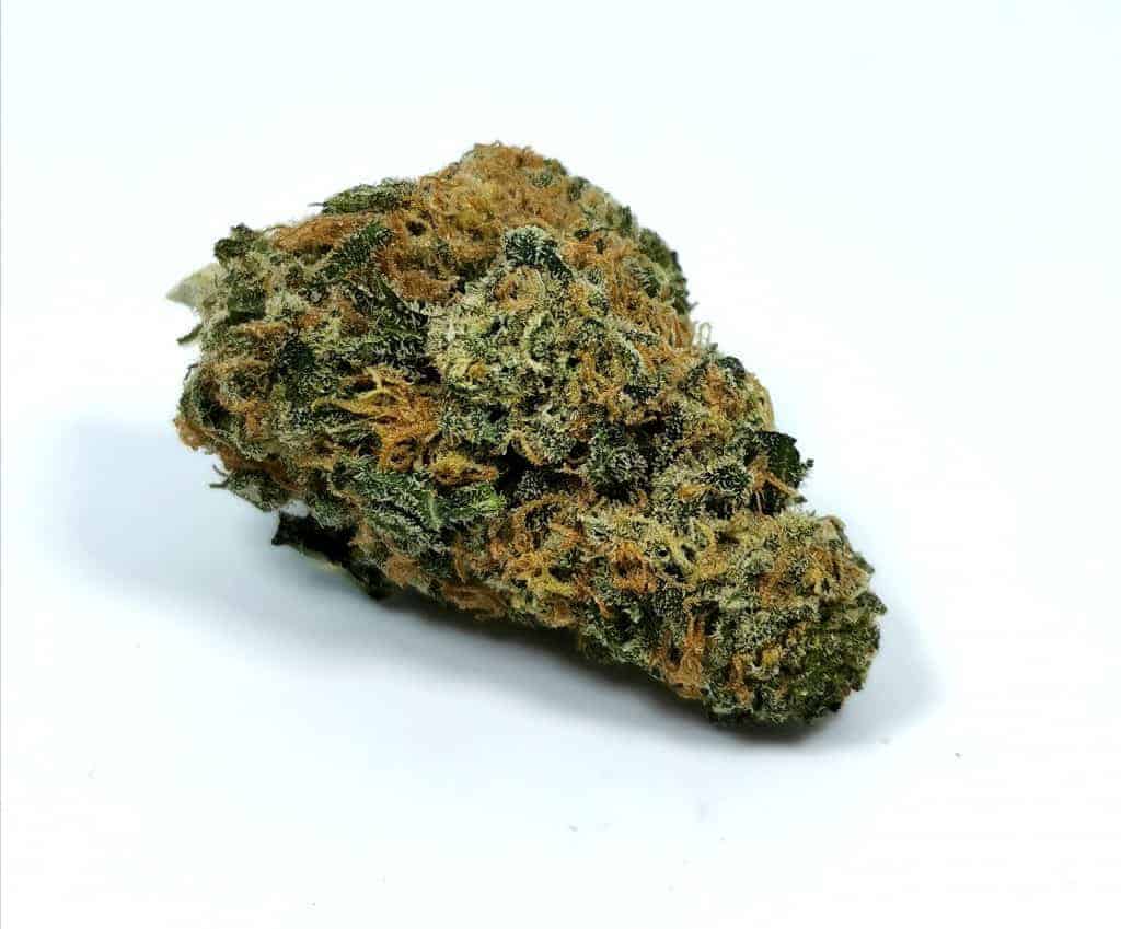 strawberry twist strain review picture of cannabis flower by cannabis sensei