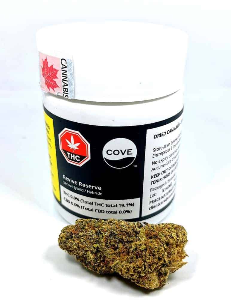 revive reserve strain review picture of cannabis by cannabis sensei