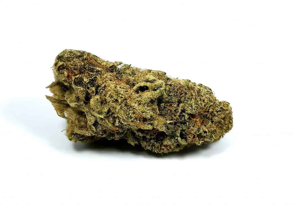 revive reserve strain review picture of cannabis flower cannabis sensei