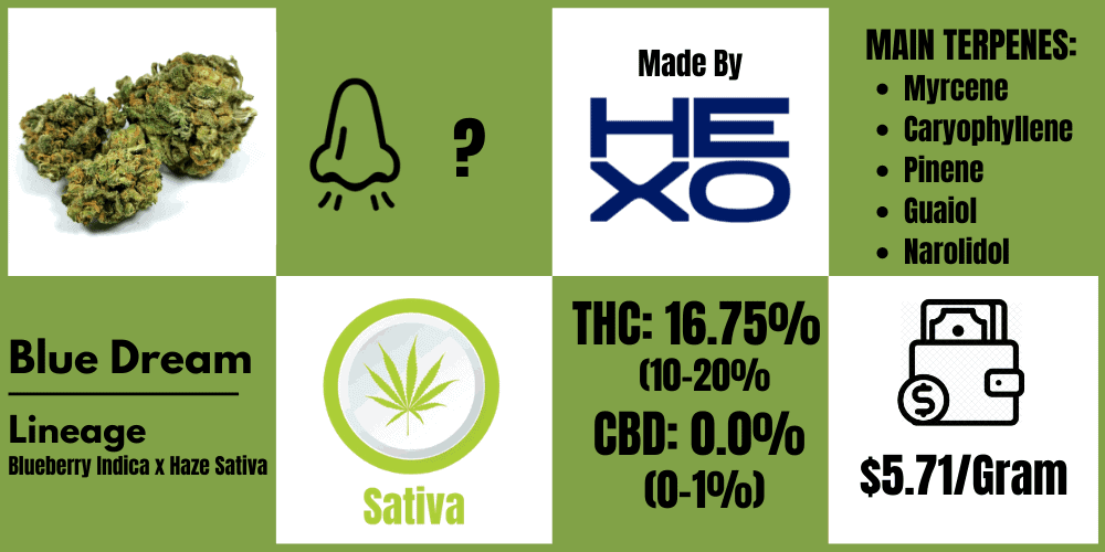 blue dream strain review hexo info block