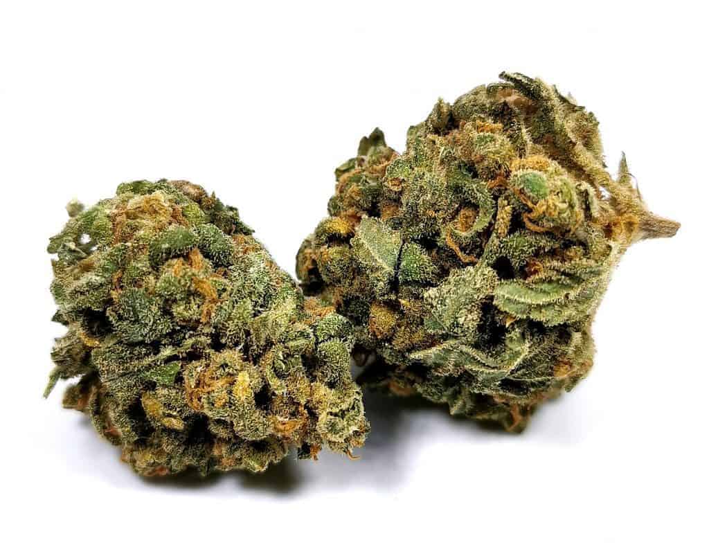 blue dream strain review