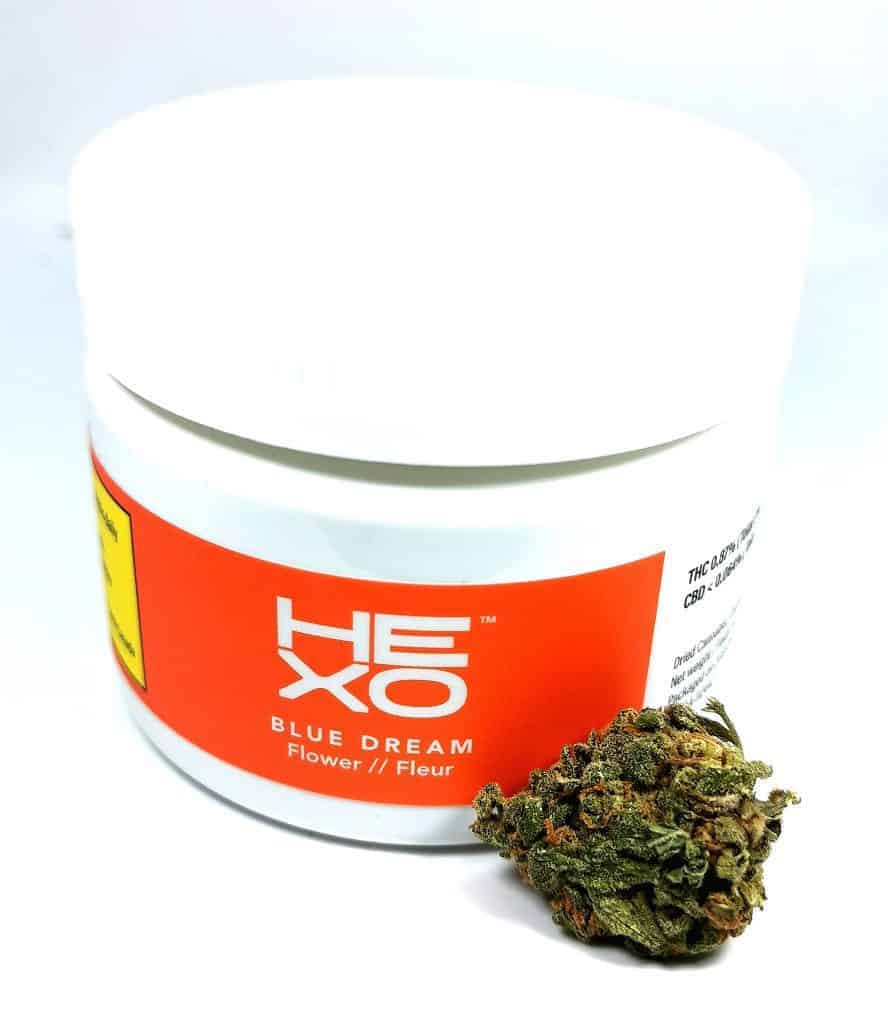 blue dream strain review picture of container and flower