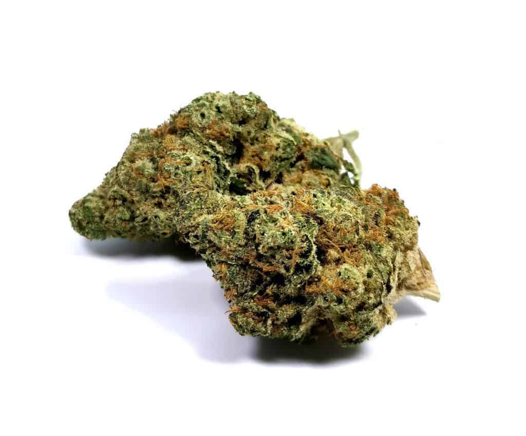 picture of flower for raider kush strain review