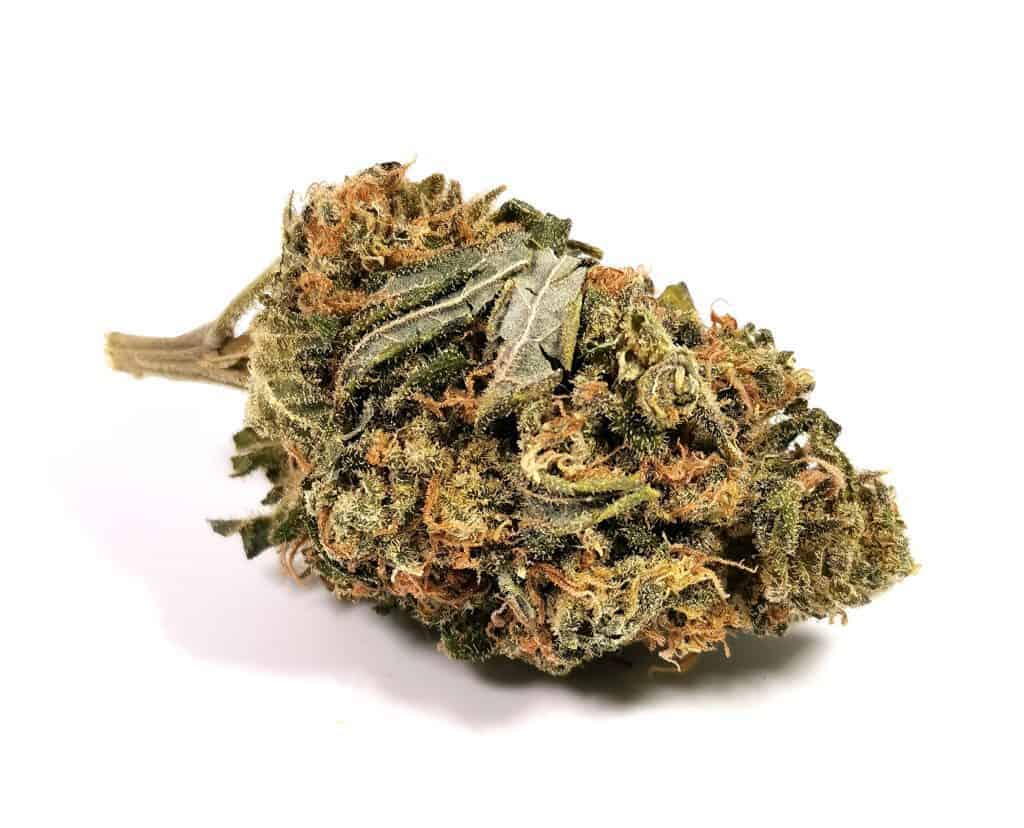 shishkaberry strain review made by re-up cannabis, picture of flower