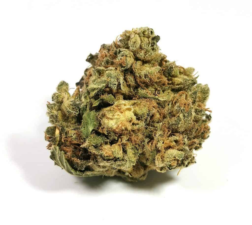 shishkaberry strain review re-up cannabis