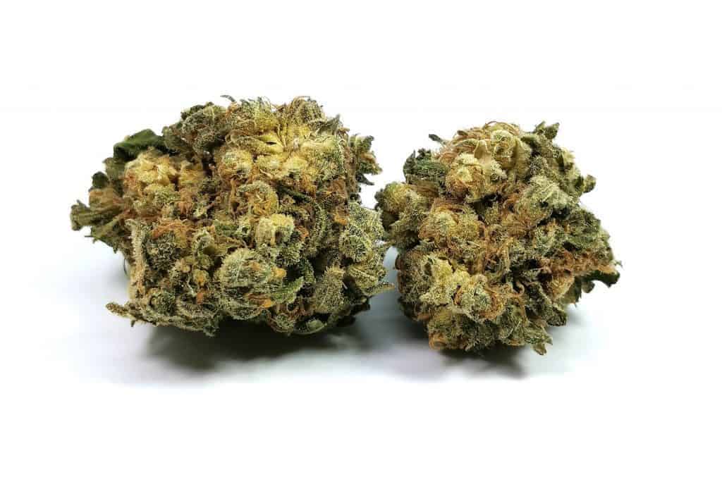shishkaberry strain review made by re-up cannabis, picture of flower