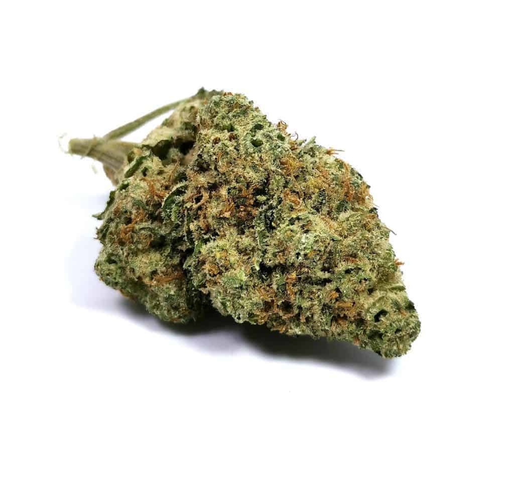 picture of flower for raider kush review