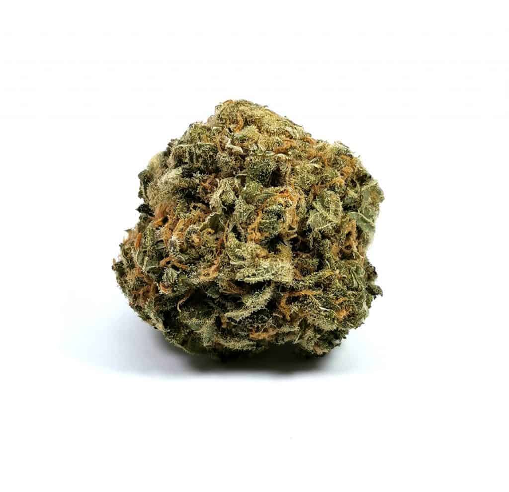mk ultra strain review picture of cannabis