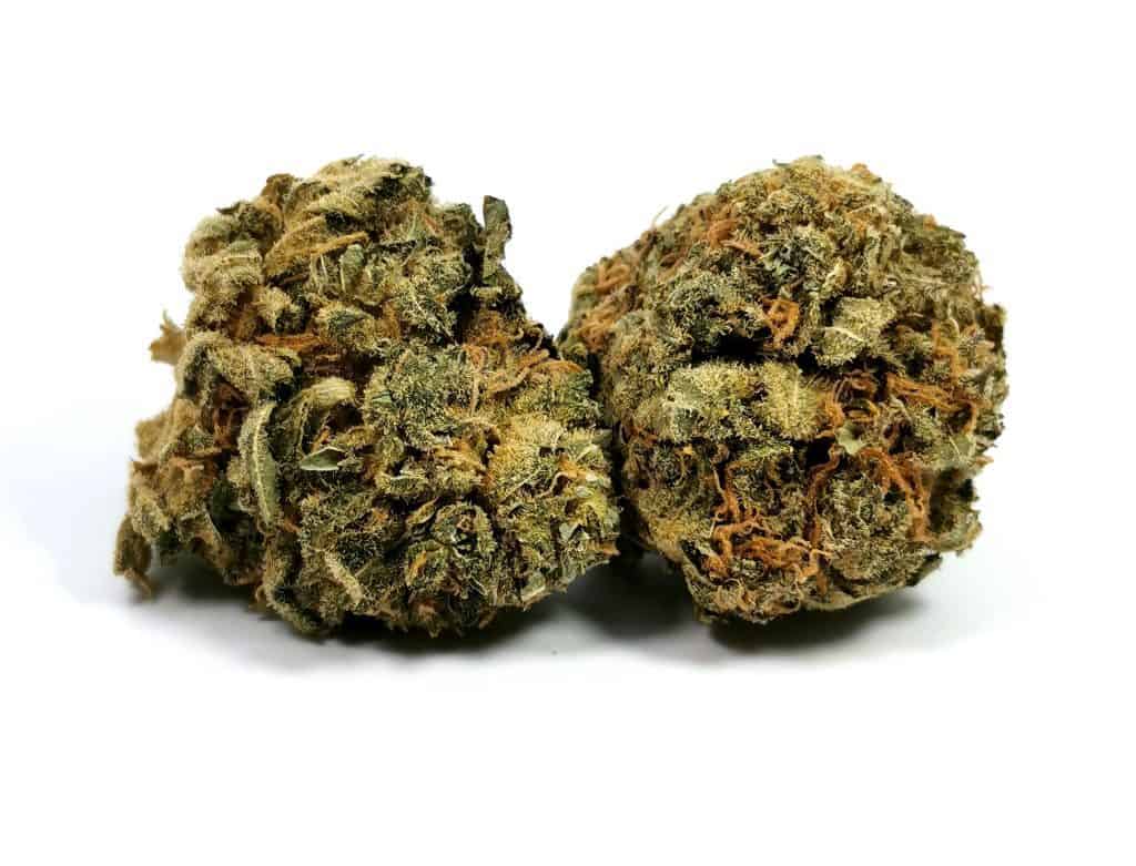 mk ultra strain review picture of cannabis