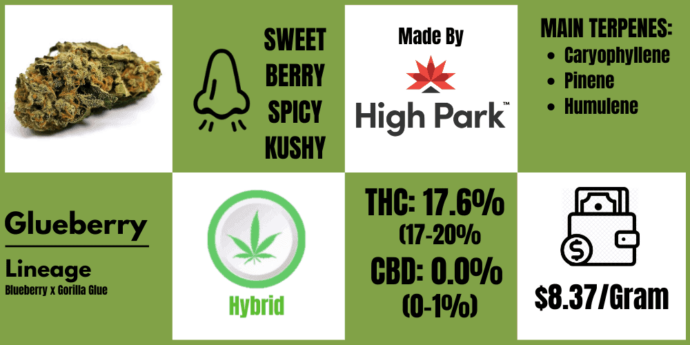glueberry strain review, info block