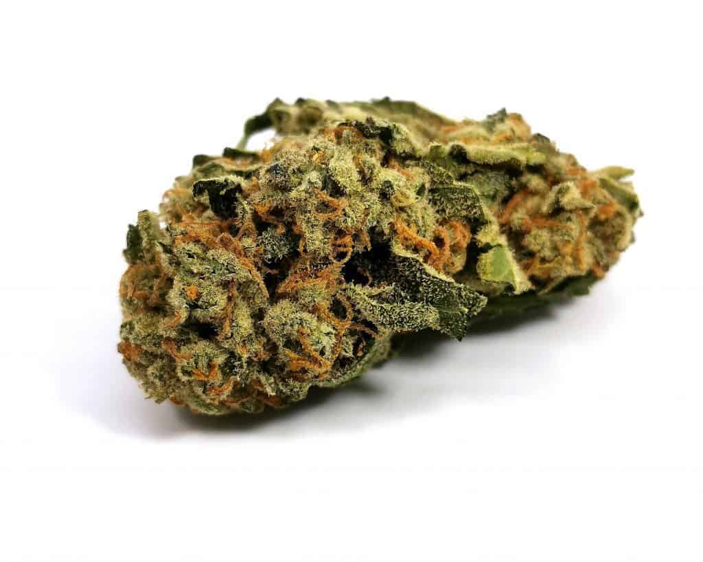 glueberry strain review