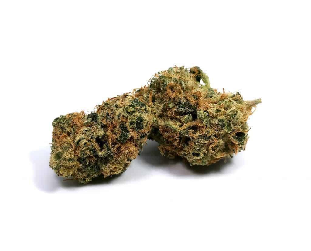 diesel strain review picture of flower