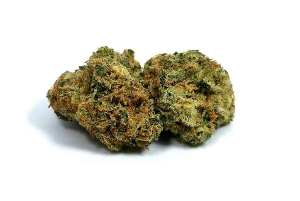 diesel strain review picture of cannabis flower
