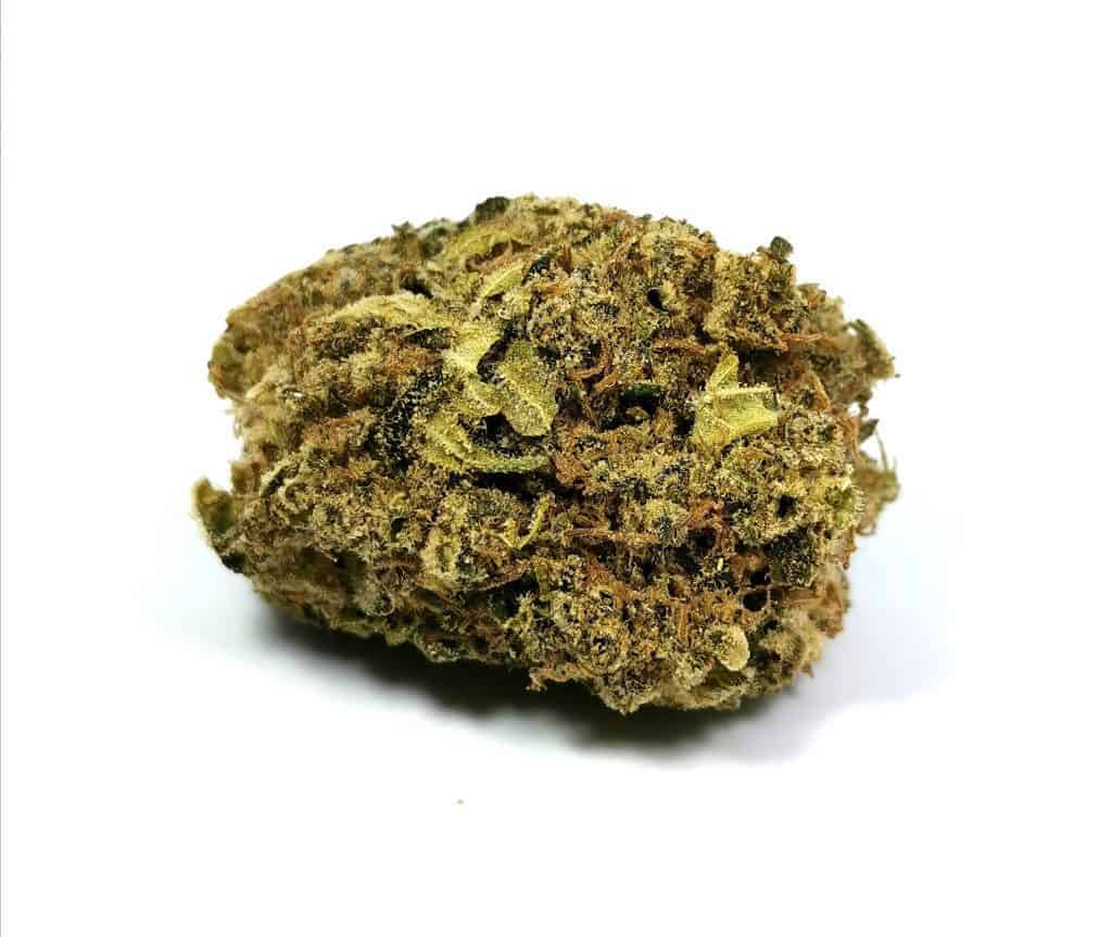 jack haze strain review