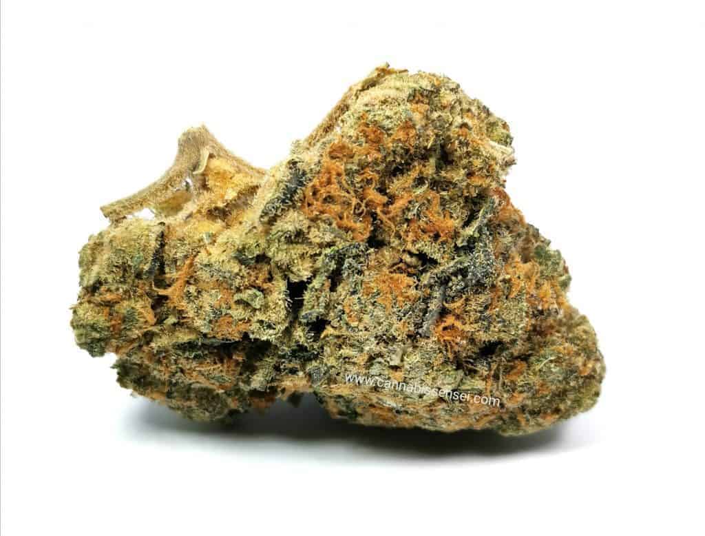 grapefruit gg4 strain review