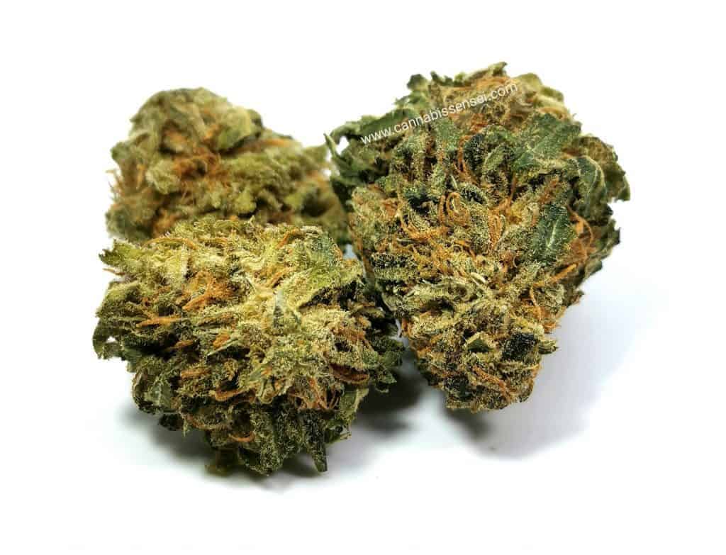 rockstar kush strain review