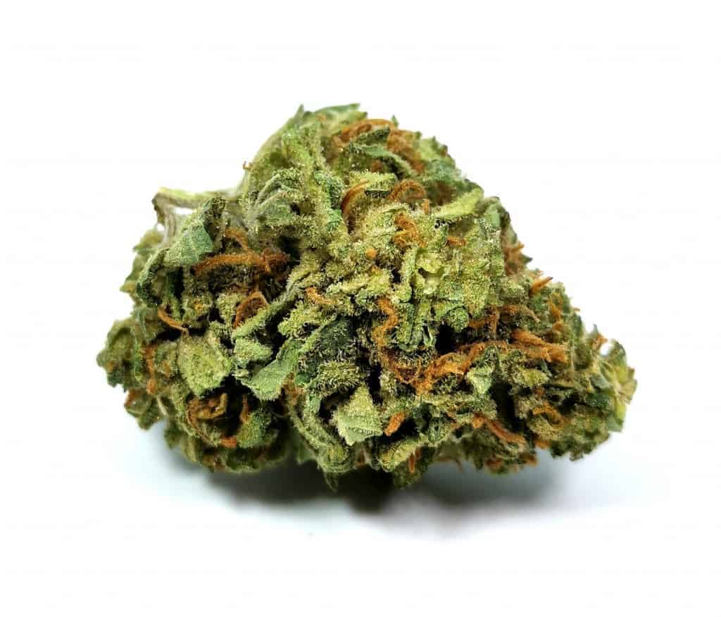 jean guy strain review good supply