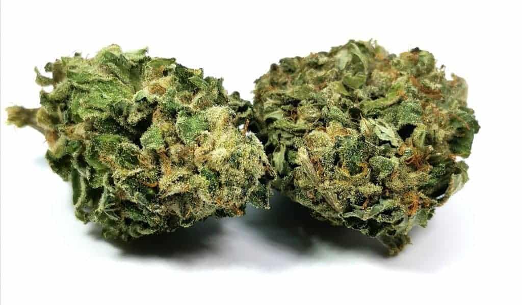 la confidential by the green organic dutchman 