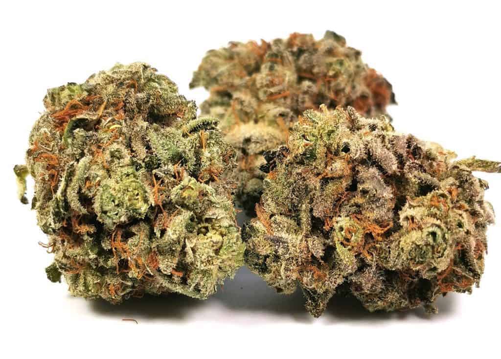 bandeau (headband) strain review, picture of cannabis