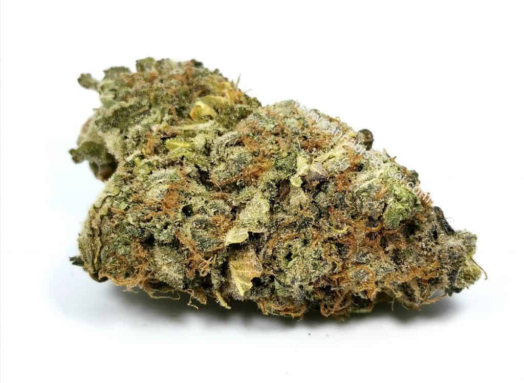green crush strain review 48north
