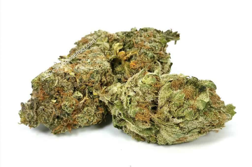 green crush strain review 48north, picture of cannabis