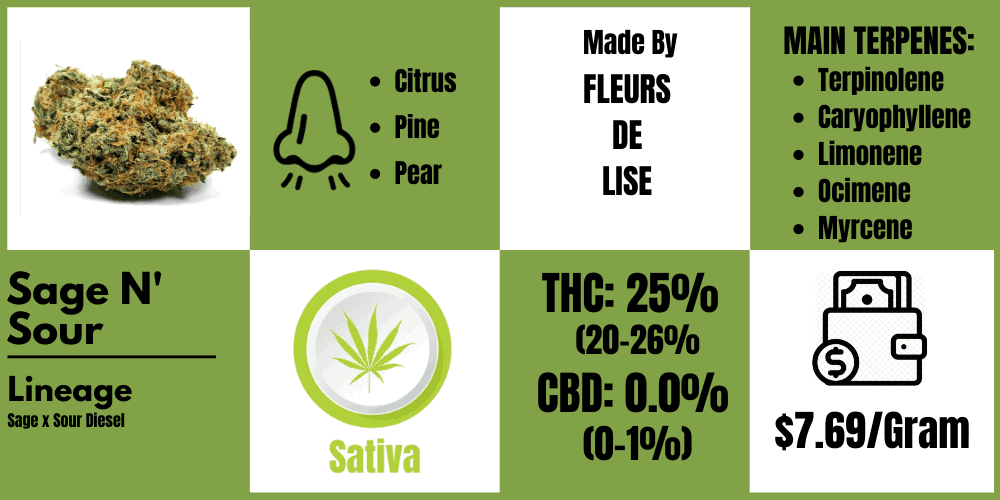 sage n' sour (cerise sur le funday) strain review info block