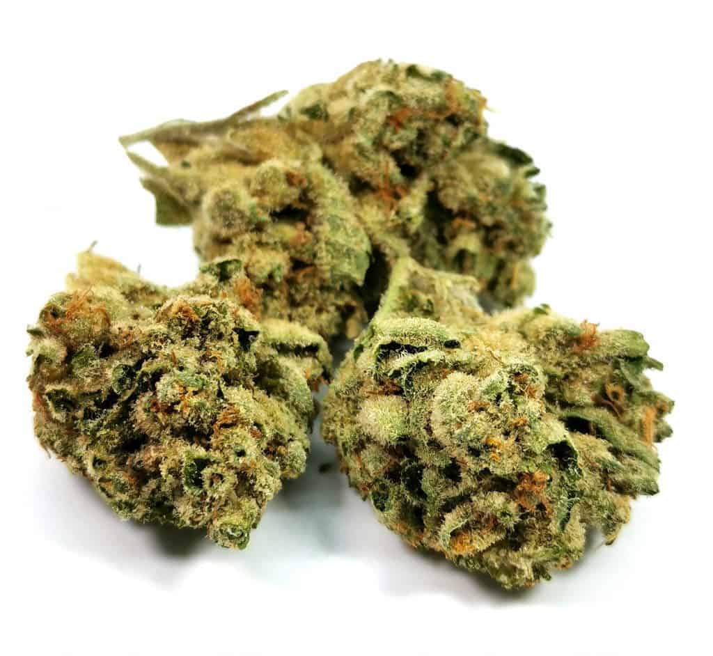 tremblant kush strain review picture of cannabis