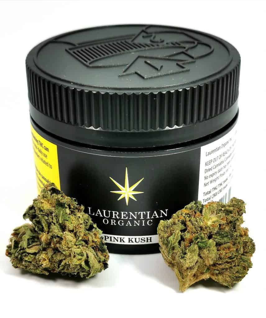 pink kush laurentian organic review